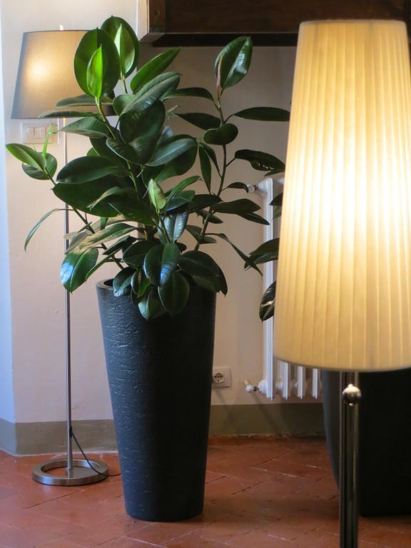 Toscanelli Residenza d'Epoca Firenze Esterno foto